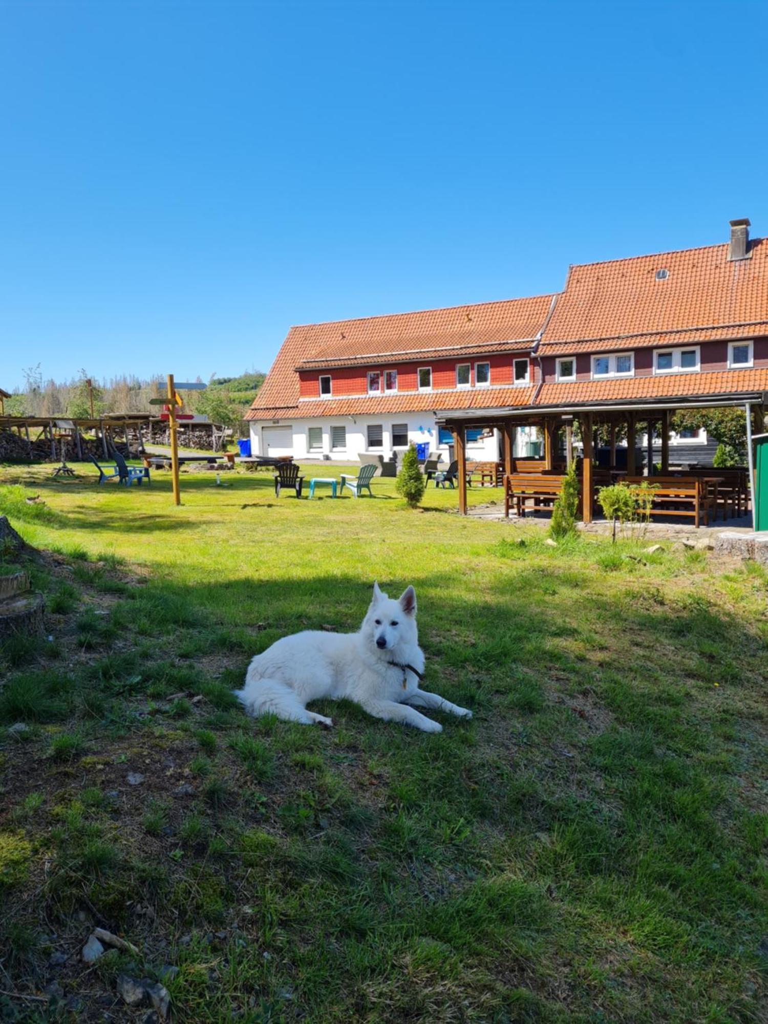 Welt Lodge アルテンアウ エクステリア 写真